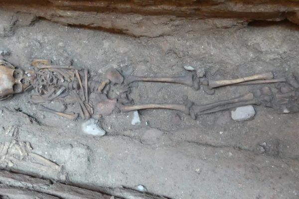 Sépulture découverte lors des fouilles de l'abbaye Saint Michel à Gaillac (Tarn) durant l'été 2020.