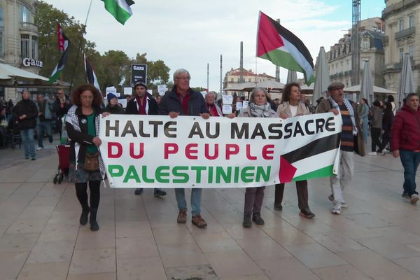 Alès, Béziers, ou comme ici à Montpellier. Dans un premier temps interdites par les préfets, les manifestations ont eu lieu ce samedi 4 novembre dans plusieurs villes de l’ex Languedoc Roussillon pour réclamer un cessez-le-feu entre Israël et le Hamas.