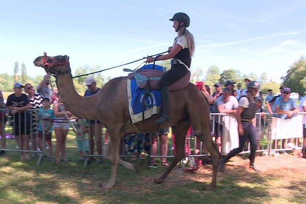 Maureen Deconninck est cavalière de saut d'obstacle en amateur, elle participait a sa première course à dos de dromadaire.