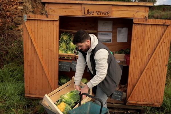 Pour financer ses études, Valentin Rolland a lancé une cabane de vente directe de légumes dans une commune des Côtes-d'Armor.