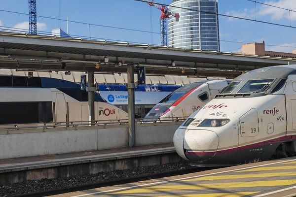 Mise en service en 1981, la Ligne à grande vitesse Paris Lyon accueille en moyenne 240 trains par jour, soit 1/3 du trafic à grande vitesse du réseau français.