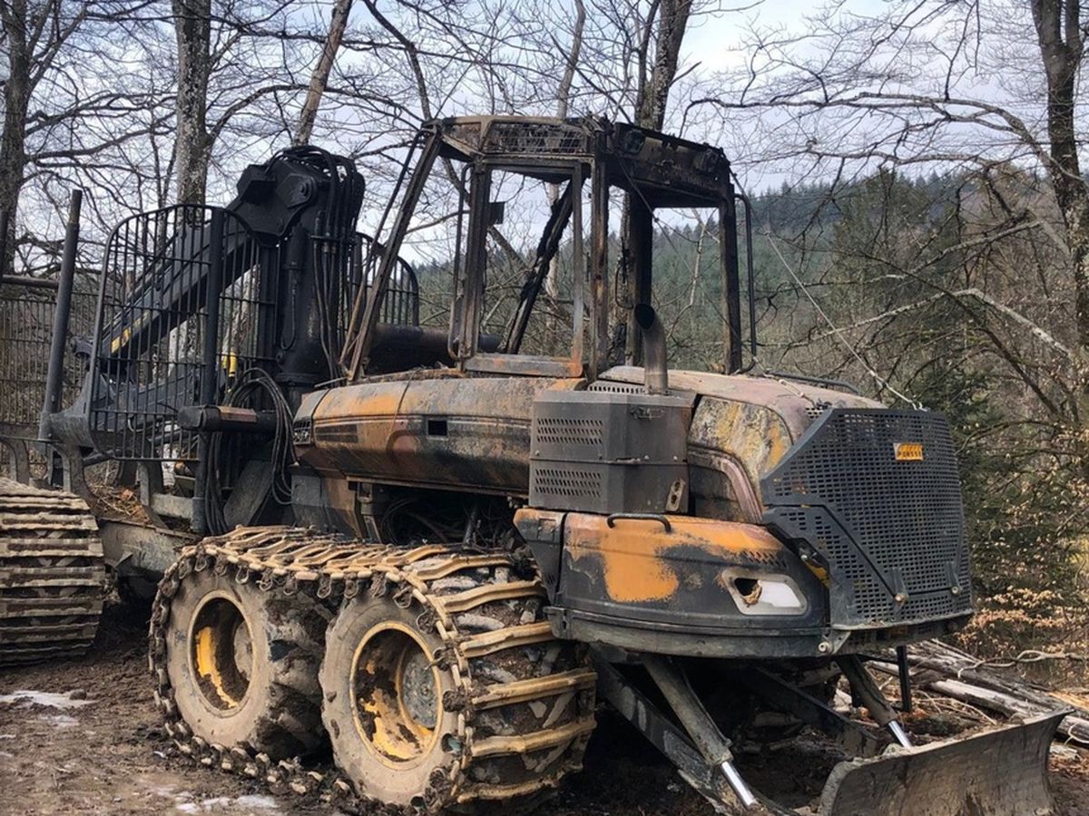 Région Île-de-France : acte 2 de la stratégie forêt et bois