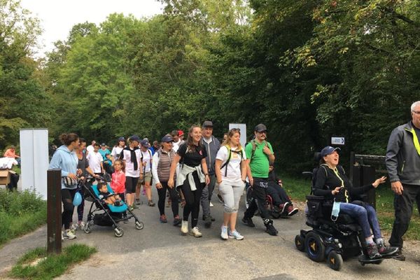 Une marche solidaire dans la forêt de Verzy.