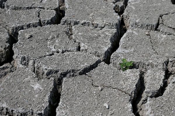 Dans le Puy-de-Dôme, 3 communes ont été reconnues en état de catastrophe naturelle après la sécheresse survenue en 2018.