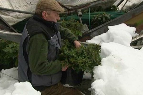 Les horticulteurs bas normands sinistrés en 2013 pour prétendre à une aide financière