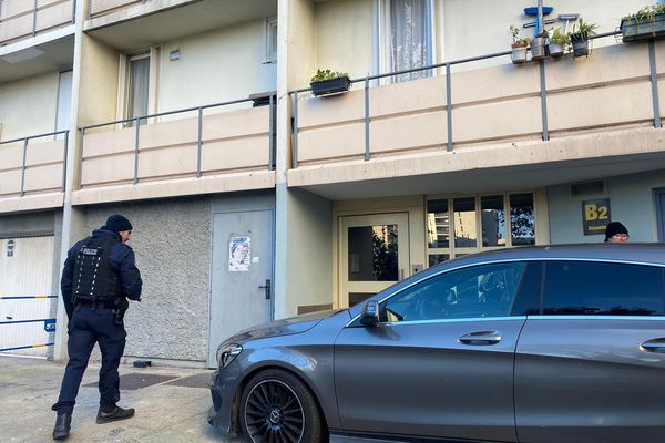 24 personnes suspectées d'appartenir au gang DZ Mafia, ont été interpellées dans les quartiers nord de Marseille.