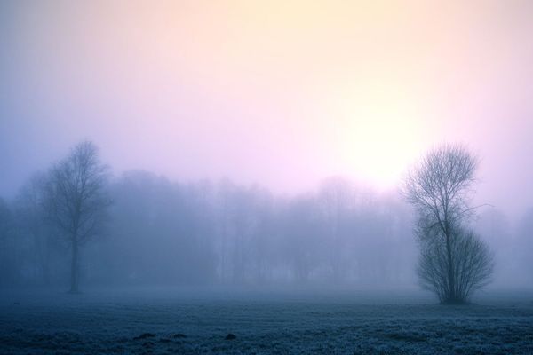 Météo France évoque des sols faiblement enneigés en fin de nuit, vers Vire, Mortain et le bocage ornais : quelques centimètres pourraient y tenir en début de matinée.