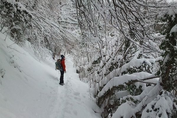 La neige est tombée toute la nuit entre vendredi 8 et samedi 9 février 2013