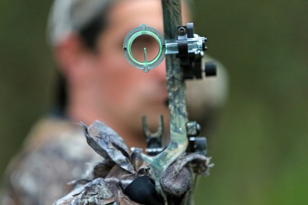 Le vote des chasseurs est dans le viseur des formations politiques, à l'approche des élections régionales (en décembre)