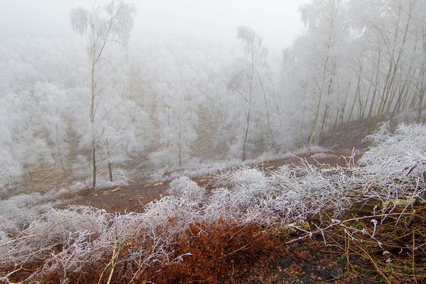 A Roost-Warendin (Nord), le 30 décembre 2016. Mélange de couleurs d'hiver et d'automne sur le terril de l'Escarpelle. 