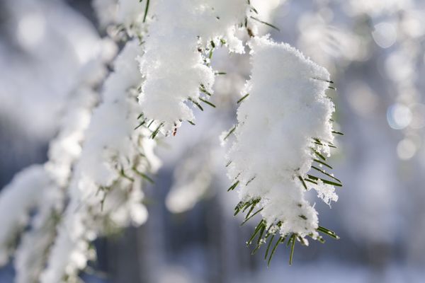 Le premier gros épisode neigeux est en cours ce 28 novembre sur les Alpes du nord.