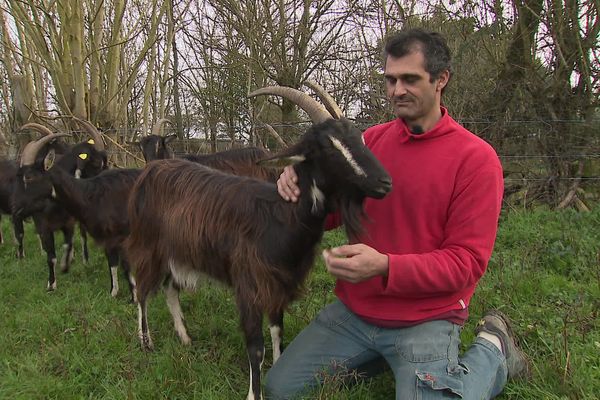 Mathias Chebrou s'est pris de passion pour cette espèce qui a bien failli disparaître. 