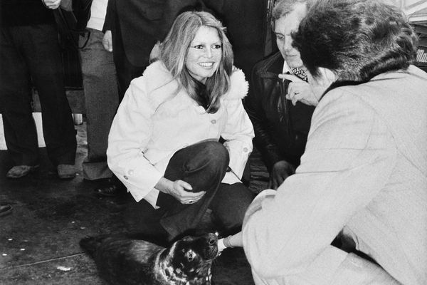 Le 8 avril 1976, Brigitte Bardot prend en charge, au sein de sa fondation, un bébé phoque sauvé de la chasse par des marins, à Fécamp.