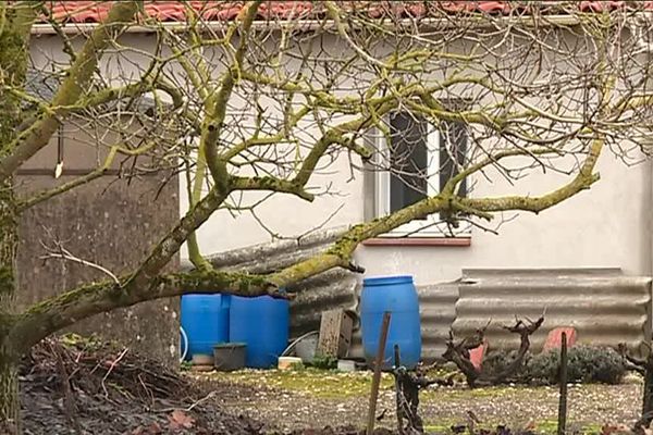 Les bidons bleus où le vieil homme noyait les chats