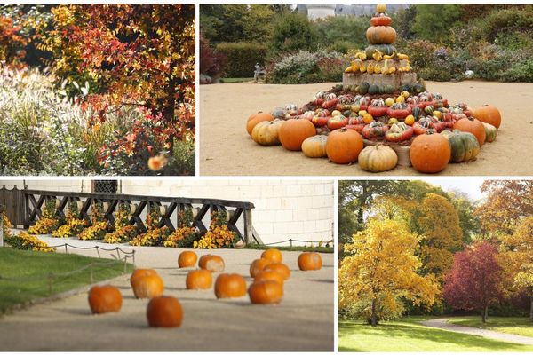 (Archives) Splendeurs d'automne 2016 au Domaine de Chaumont sur Loire (Loir et Cher)