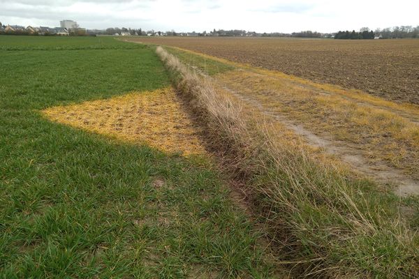 Votre département fait-il partie des plus gros utilisateurs de pesticides ?  En Normandie, l'Eure et la Seine-Maritime figurent parmi les mauvais élèves;