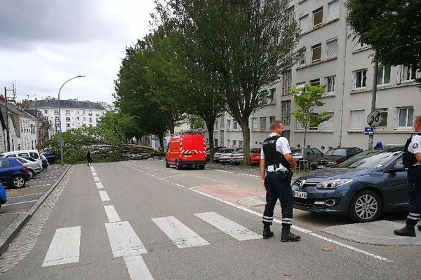 Un arbre déraciné rue des Chalâtres à Nantes, le 27 juin 2020