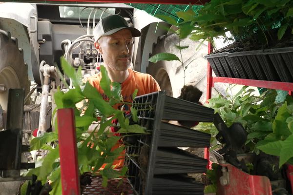 Arnaud Schwartz a fait le choix de la traçabilité pour ses arbres et haies qu'il plante dans des sols riches.