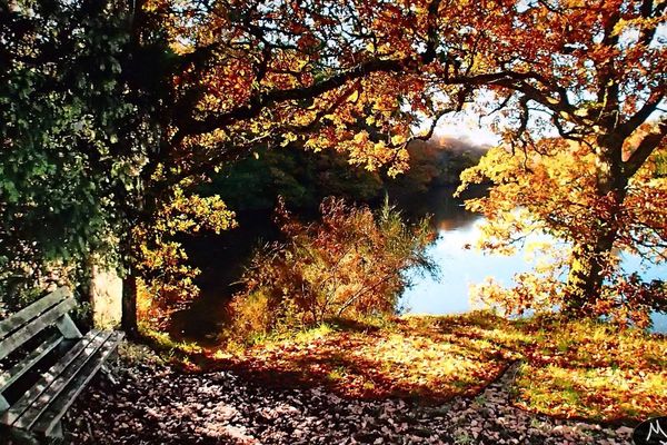 Merci à Max Letofeu pour cette photo de saison. Bon week-end à tous.