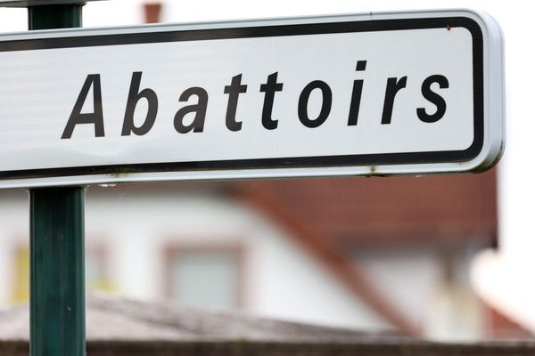 La liquidation judiciaire de la SAS Abattoir Sud-Aveyron Saint-Affrique vient d'être prononcée par le tribunal de commerce de Rodez.