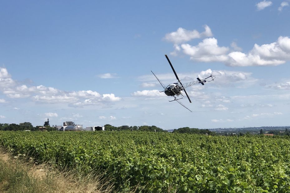 PICTURES.  After the floods in Gevrey-Chambertin, helicopters spread a phytosanitary treatment to save the vines