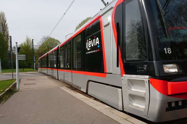 ilévia annonce une reprise de la circulation du tramway et une amélioration de l’offre sur la ligne 2 du métro