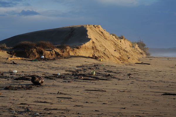 Les dunes s'écroulent avec les grandes marées. Un exemple du recul du trait de cote sur le littoral de l'ile d'Oleron. 