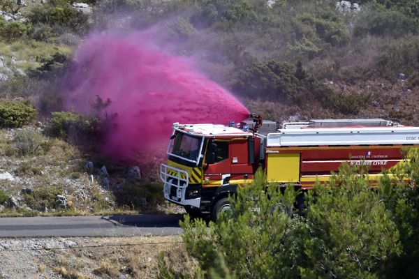 Les sapeurs-pompiers luttent depuis trois jours pour ralentir la progression des flammes de l'incendie d'Opoul (Pyrénées-Orientales). ce jeudi 30 juin au matin, l'incendie est fixé.