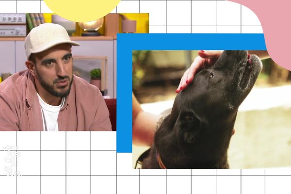 Florent Gauthier dans "Vous êtes formidables". Il a cofondé une plateforme pour aider les propriétaires d'animaux à trouver une solution - professionnelle - de garde