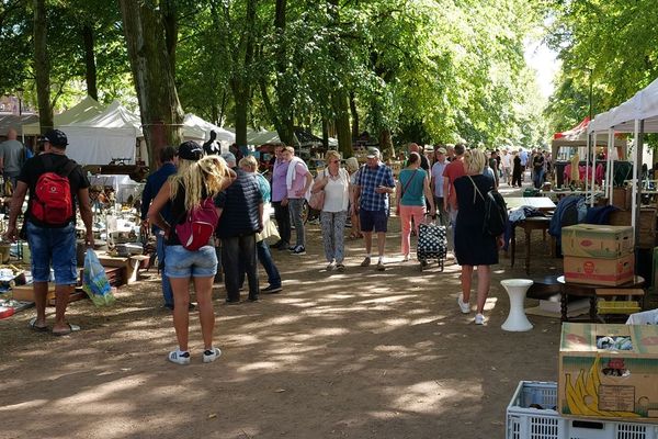 Pendant la Braderie de Lille 2019