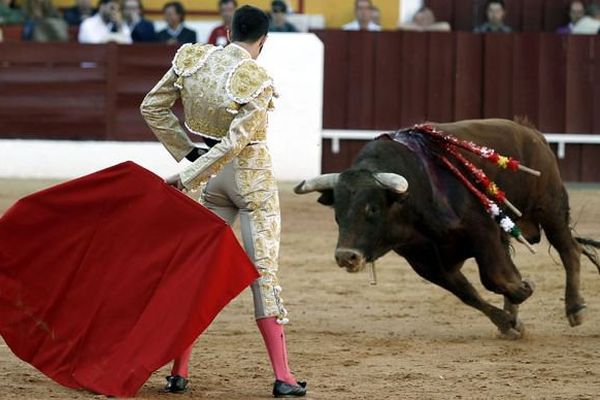 Le début de faena de Talavante avec son premier toro : audace et poésie