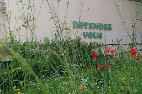 Le jardin de l'Arquebuse à Dijon