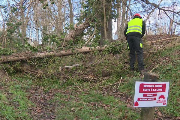 À l'Ecopôle du Forez (Loire), l'entretien est permanent — janvier 2025