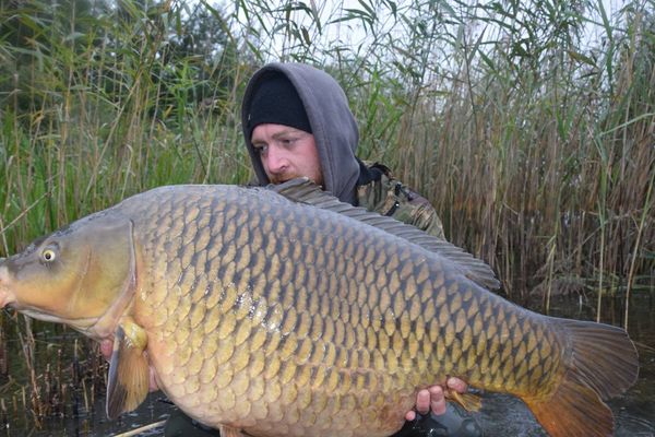 Belle pêche pour Daniele Colapicchioni (équipe italienne) le 22 septembre 2015 au Mondial de la Carpe au Lac de Madine