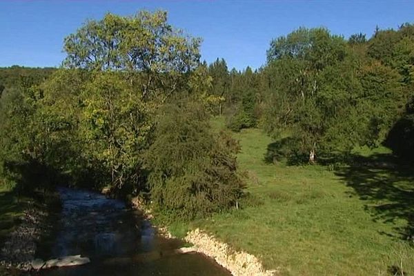 Paysage de la Région Champagne