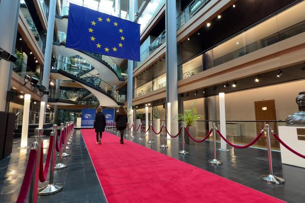 Les invités prestigieux, comme les présidents, les premiers ministres, les papes ou des acteurs célèbres arrivent sur le tapis rouge par l'entrée protocolaire, interdite au public.