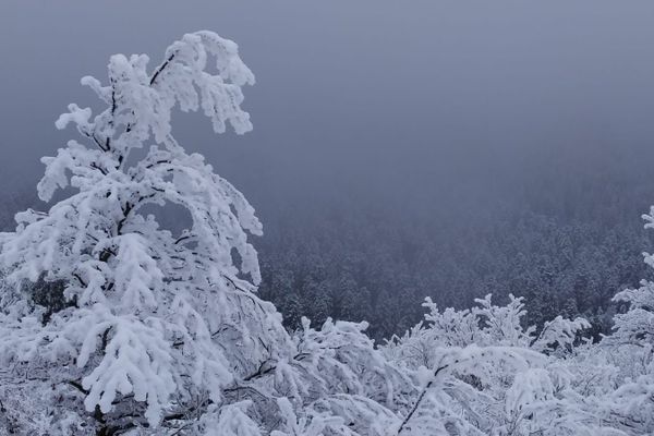 Les chutes de neige depuis le mois de décembre en Auvergne ont été exceptionnelles. Du jamais-vu depuis des années, parole d'Auvergnats. Alors vous êtes nombreux à prendre en photo cette neige dans la région pour immortaliser ces moments. En voici un petit aperçu. 