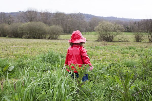 Une petite fille avec un imperméable rouge dans un champ (illustration)