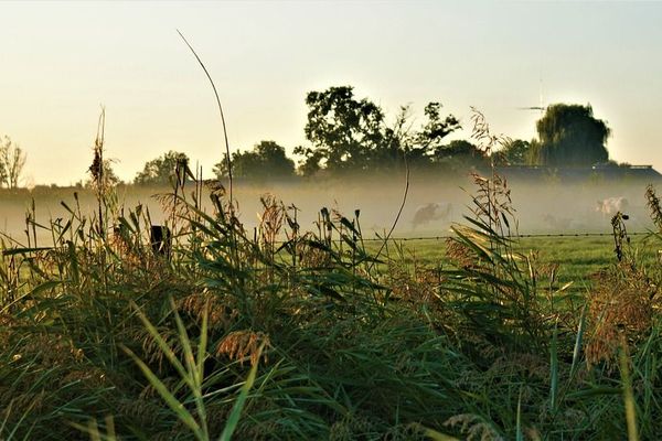 Octobre en bruine, hiver en ruine