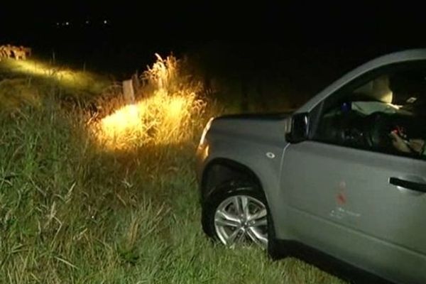 Des coups de feu sont tirés la nuit pour faire fuir le prétendu loup