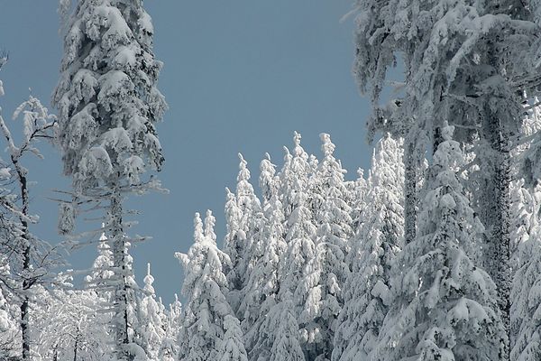 Le champ du feu sous la neige