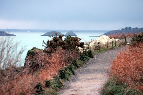 Pointe du Grouin (Ille-et-Vilaine)