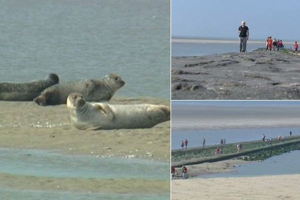 L'accès à l'épi rocheux de Berck bientôt interdit ?