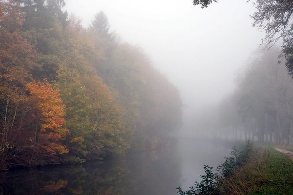 Brouillard automnal