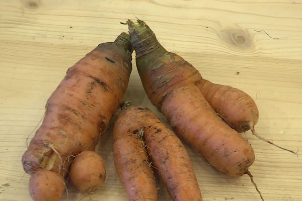 Des légumes moches transformés en cosmétiques