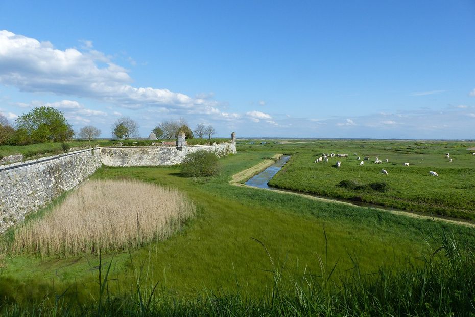 the Brouage marshes on the way to the “Grand Site de France” label