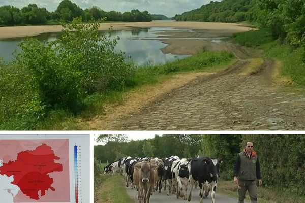 En Loire-Atlantique, les précipitations sont au plus bas. Cultures et nappes phréatiques sont à la peine