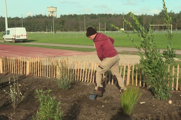 Les équipes de Parcs et Jardins de la Métropole de Lyon plantent entre 2 et 3 000 végétaux chaque hiver