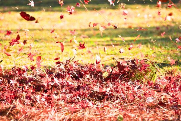 Le vent viendra souffler principalement de l’ouest, accentuant légèrement la sensation de fraîcheur en  cette journée d'automne.