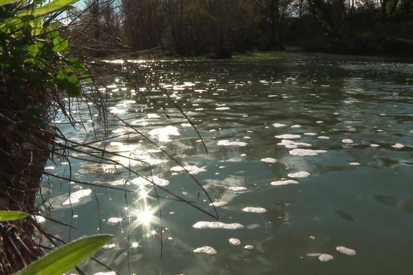 Le Vidourle est un fleuve côtier qui prend sa source dans les Cévennes à Saint-Roman-de-Codières et se jette dans la Méditerranée à La Grande-Motte. Il traverse 28 communes du Gard et de l'Hérault.